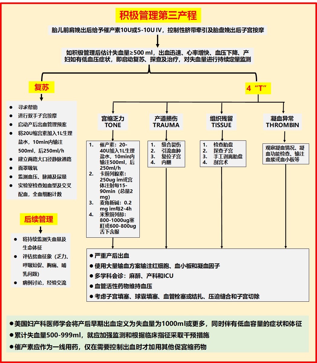 第三产程管理流程图